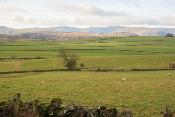 River fluke area by Hannah Rose Vineer